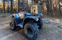 2-Hour Quad Biking Guided Excursion Through the Knysna Forests 