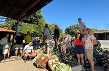 Hierve el Agua, Tule Tree, Mitla and Mezcal Distillery Tour