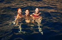Sorrento Coast Highlights: 2-Hours Small Group Boat Tour