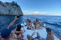 Sorrento Coast Highlights: 2-Hours Small Group Boat Tour
