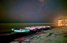 Holbox Kayak Bioluminescence Experience