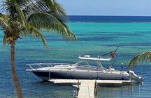 Luxury Half Day Private Charter aboard Mojito Majic