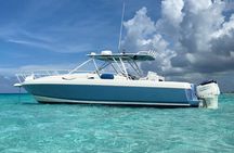 Luxury Half Day Private Charter aboard Mojito Majic