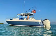 Luxury Half Day Private Charter aboard Mojito Majic