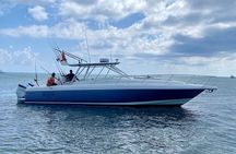 Luxury Half Day Private Charter aboard Mojito Majic