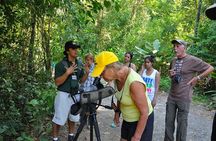 Manuel Antonio National Park Guided Tour from Jaco and Los Suenos