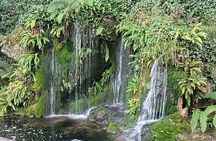  Private Tour of Blarney Castle ,Cork ,Kinsale 5 Star Rated