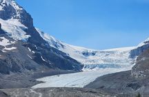 From Canmore/Banff: Columbia Icefield Skywalk Peyto Private Tour