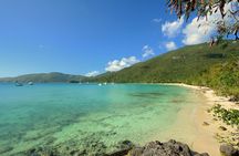 Snorkeling with Sea Turtles at St. Thomas