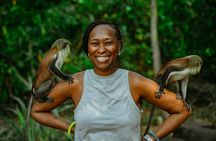 Wli Waterfall and Tafi Atome Monkey Sanctuary (Day Visit)