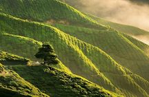 5 Day 4 Night Malaysia Tour for Travelers from Around the World