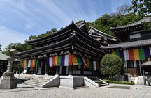 Private 1 Day Tour to Kamakura: Sea, Temples, and Coastal Scenery