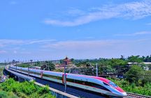 Hangzhou Private Customized Day Trip from SH by Bullet Train