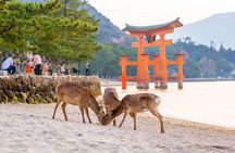 Miyajima Island Day Tour in Sacred Sites and Mount Misen