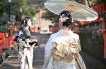 Luxury Classic Kyoto Day Tour - Private Customized Car Tour