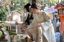Luxury Classic Kyoto Day Tour - Private Customized Car Tour
