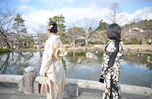 Luxury Classic Kyoto Day Tour - Private Customized Car Tour