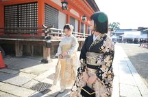 Luxury Classic Kyoto Day Tour - Private Customized Car Tour
