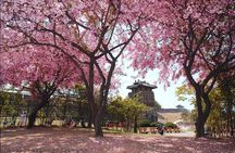 Day Tour of Suwon Hwaseong Fortress Starfield Waujeongsa Temple 