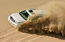 Doha Desert Safari Horse Riding, Camel Ride, ATVs & Inland Sea