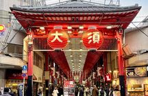 Nagoya: Best & Hidden Gems Private Guided Tour