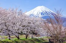 From Tokyo: Mount Fuji Sightseeing Full Day Trip