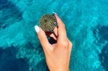 Shared Mykonos Sail Cruise to Delos and Rhenia Islands