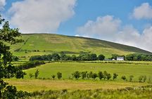 Shore Excursion: Giants Causeway and Belfast City Tour