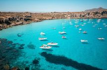 Boat tour to Egadi Favignana and Levanzo islands from Trapani