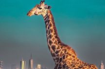 Wildlife Capital: Half-Day Safari at Nairobi National Park