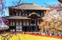 Osaka: Nara, Todaiji, Uji Matcha, and Hot Spring Tour