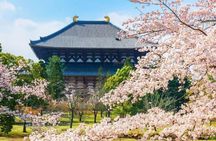 Osaka: Nara, Todaiji, Uji Matcha, and Hot Spring Tour