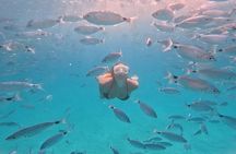 Zadar: 3 Island luxury Speedboat Tour w/ Drinks & Snorkeling