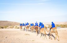 Quad Camel Ride and Dinner Show in Agafay
