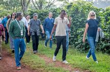 Nairobi Fairview Coffee Farm Tour and Tasting experience