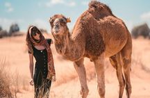 2-Day rounded Tour to Zagora from Marrakech 