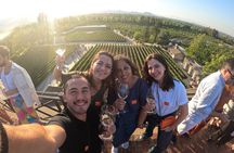 Private Maipo Valley Wine Experience: 2 Premium Wineries & Lunch