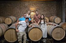 Private Maipo Valley Wine Experience: 2 Premium Wineries & Lunch