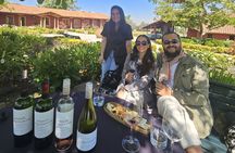 Private Maipo Valley Wine Experience: 2 Premium Wineries & Lunch