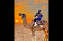 Agafay Desert pack : Lunch/dinner, Quad, Camel and pool 