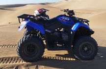 Quad Buggy Land of Sand