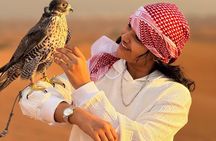 Premium Camp Dubai Desert Safari 