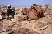 3 Days Danakil Depression Adventure