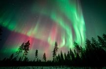 Northern Lights Photography Tour