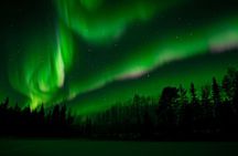Bus Tour with Hunting Northern Lights