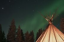 Rovaniemi Northern Light Hunt with Campfire and BBQ with Transfer