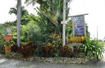 Explore the Enchanted Gardens of Barbados