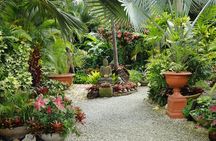 Explore the Enchanted Gardens of Barbados