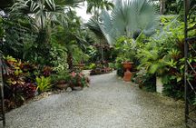 Explore the Enchanted Gardens of Barbados