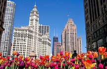 Private City Tour 6-10ppl